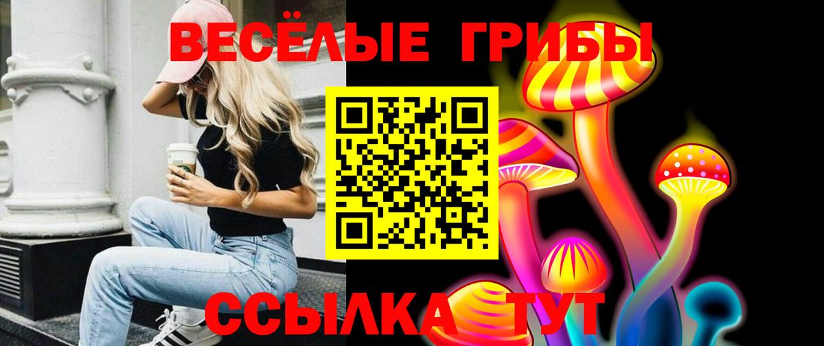 Галлюциногенные грибы MAGIC MUSHROOMS Ефремов