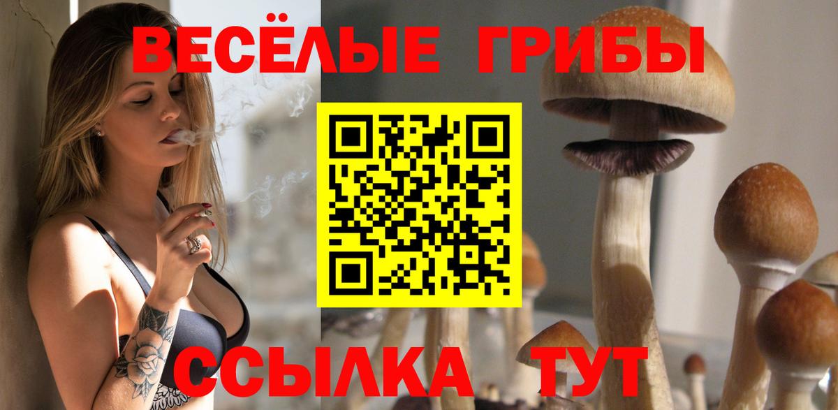 Псилоцибиновые грибы MAGIC MUSHROOMS  Вход с VPN  Ефремов 